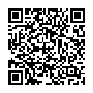 长着长指甲和獠牙的怪物的时候恐怕都会崩溃的吧二维码生成