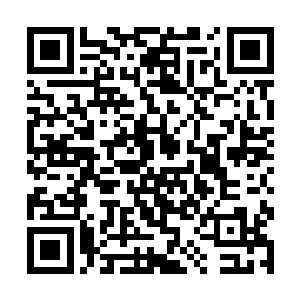 长老想了好一阵子终于想到怎样才能将东方浩然放了二维码生成