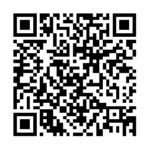 长袍的肩膀上还绣着几朵傲雪梅花的骑士狂笑起来二维码生成