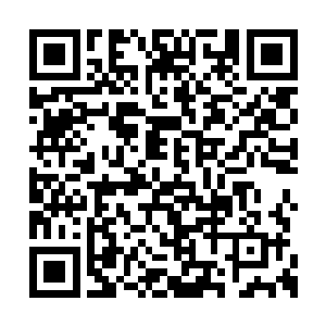 长长的眼睫毛好像两把小扇子一样轻轻的忽闪着二维码生成