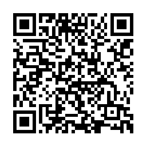 长长的睫毛掩盖了他眼中难以抑制的苦闷和不解二维码生成