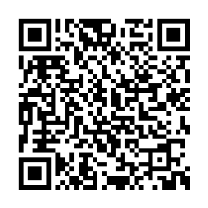 长阳仙帝身上那件能够吸纳无垢之气的神奇秘宝二维码生成