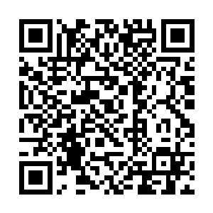 长阳府内的其余几名太上长老也纷纷从各处赶往禁地二维码生成