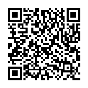 长阳府整个空间都受到了巨大的影响开始剧烈的颤抖了起来二维码生成