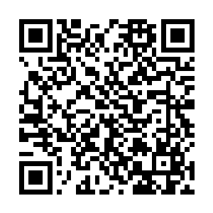 长阳祖云空已经带着幽月和碧莲两人重新回到了城墙上二维码生成