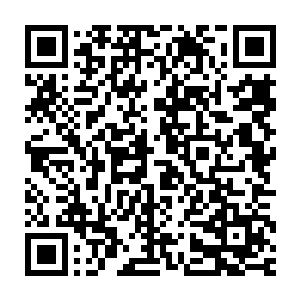 长阳虎唯一的办法就只有借助山坡上那复杂的地形甩开后面的那群人了二维码生成