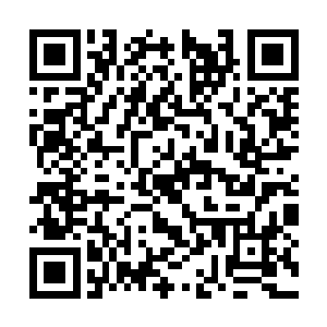 长阳虎在剑尘心中是除了父母和二姐长阳明月之外二维码生成