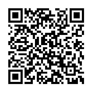 长阳虎问的这个问题也是另外三人所关注的事情二维码生成