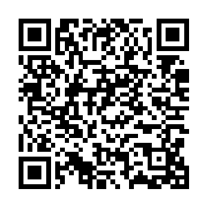 长阳青云以能量幻化的另一张大网已经降临了剑尘的头顶二维码生成