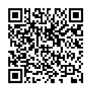 长阳青爵日和长阳青云风和长阳青云都是一个支脉的人二维码生成