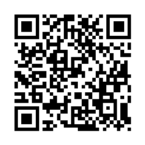 长鞭缠在了从岩壁缝里长出来的一颗树上二维码生成