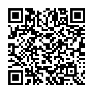 长风厂技校厂里原本是有意要放在95年才会来考虑二维码生成
