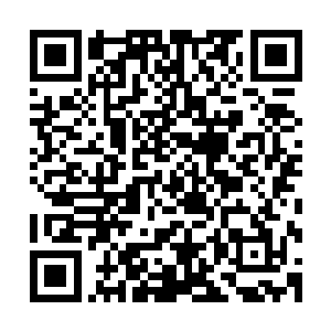 门上面那个小小的猫眼也是专门为她做的……一切一切的回忆二维码生成