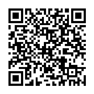 门主要杀了他们取走他们的灵魂来壮大自己的力量二维码生成