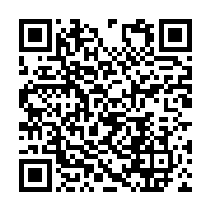 门前侍卫一听是这事一刻也不耽误立即跑进去禀告二维码生成