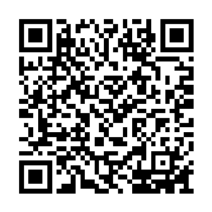 门口传来的突兀的声音让力莲的动作一下滞住了二维码生成