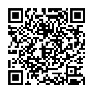 门口的守卫们正因为山上的狼嚎而犹豫着要不要去通知族长二维码生成