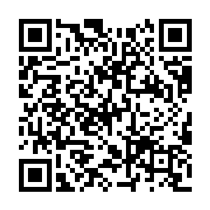 门口的负责看守的那个黑衣守卫全身透出一道大火二维码生成