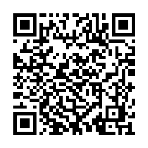 门外的草坪上已经站了四五十个身材健硕的汉子二维码生成