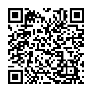 门外跑来的人急忙将后面还没有说完的话补充完整二维码生成