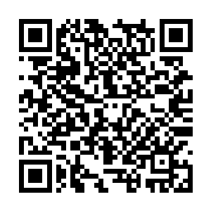 门外静静候着的立夏用只有自己听见的声音低低道二维码生成