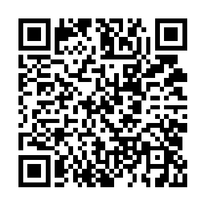 门户内那混混沌沌的场景逐渐的变得清晰了起来二维码生成