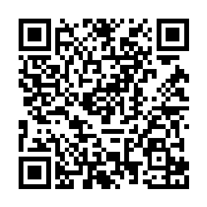 门派之间的实力差距要远远的超过孙子轩的想象二维码生成