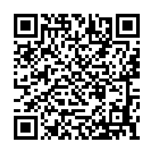 门派也没有这么多任务供这些小家伙这么挥霍啊二维码生成