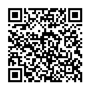 门派的几个长老勾结魔族的人暗中架空了我娘的势力二维码生成