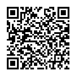 门邪王主更是亲自下令让麾下的域主们搞清楚缘由二维码生成