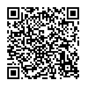 门里的侍女在朱平安刚到门口的时候就已经将帘子高高的卷了起来二维码生成