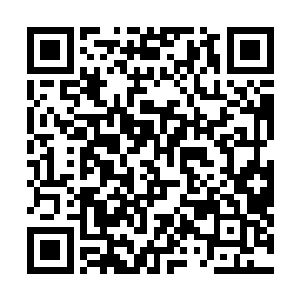 门里面的一帮子姑娘小子们则是本着一条不给红包不让进二维码生成