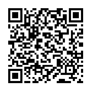 闪亮着眼睛一手举着糖葫芦一手牢牢的牵住父亲的手二维码生成