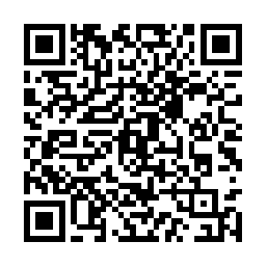 闪烁着寒光的箭尖对准了山上那些飞驰而下的身影二维码生成