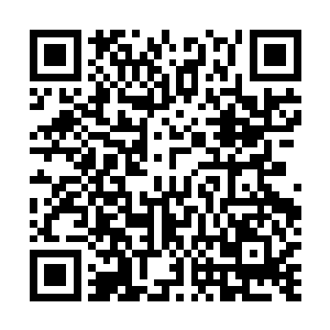 闪电过去后已经恢复昏暗的雨幕下始终没有看到那条毒蛇二维码生成