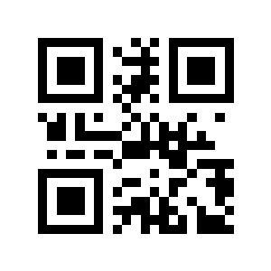 闪眸二维码生成