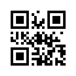 闪缎二维码生成