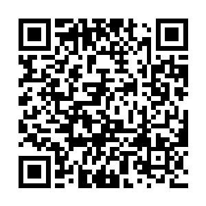 闪耀身上的敛光铠甲竟被飞来的拳芒打出了诸多裂痕二维码生成