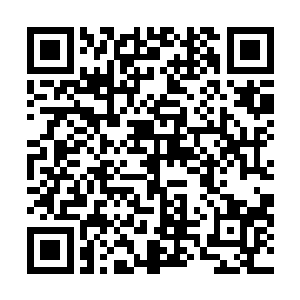 闪过一丝慈祥――尽管马文觉得这点慈祥的味道有点违和二维码生成