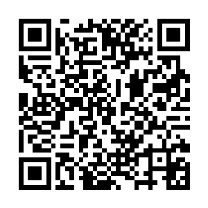 闪闪发亮的水晶吊灯和不扎眼却透着奢华气息的装饰二维码生成