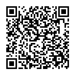 闫天佑和齐元俊这两个家伙就把江浙老板给忽悠得硬生生增加到1200万的投资二维码生成