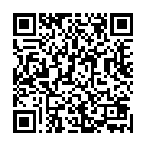 问夏天要不要爬房顶或者哥给你找个纸箱子让你踩箱子喝啊二维码生成