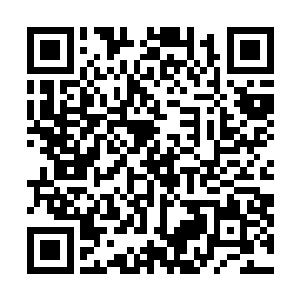 问她几年前咱们学校有没有发生过什么凶杀案问题的时候二维码生成