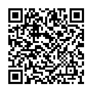 问题是在上上个版本中潘森就已经被砍过一次了二维码生成