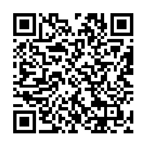 问题是当年定王府坠崖一事可算得上是沐阳侯一手触成二维码生成