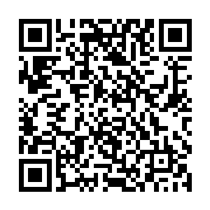 问题是这军备革新从头到尾都是曾毅一个人在策划的二维码生成