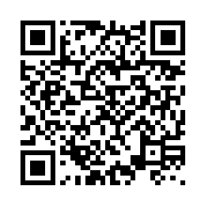 闯入静室找到了正在修炼中的苗毅二维码生成