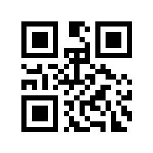 闯王宫二维码生成