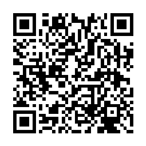 闲了还会找些喜欢的小说来看……日子虽然无聊二维码生成