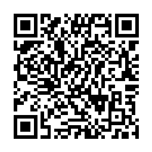 间或有还在为模特们优美身段和靓丽表演进行探讨的人们二维码生成